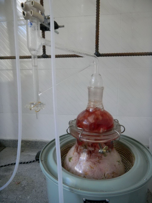 玫瑰精油蒸馏提取的试验设备